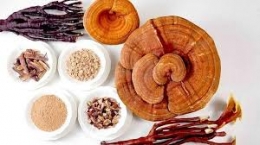 Beneficios Hongos Reishi