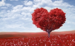 20 curiosidades sobre el amor que deberías saber