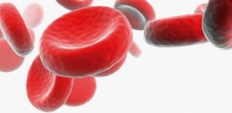 ¿Cuáles son los niveles normales de hematocrito?