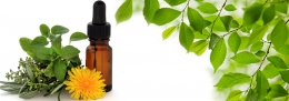 Qué es y para qué sirve la homeopatía