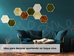 Idea para decorar aportando un toque vivo