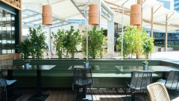 GreenVita cumple 7 años y continúa su expansión con nuevos canales y proyectos