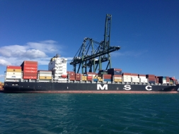 El Grupo Moldtrans entra a formar parte de la Global Affinity Alliance