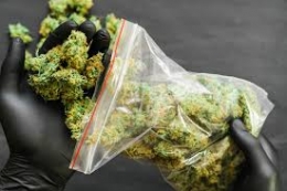   (syntheticchain@gmail.com) Compre marihuana en línea, ordene cocaína, heroína para la venta en Europa.