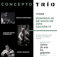 Concepto Trío en concierto 