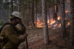 Incendio Forestal en EE.UU Costa Oeste