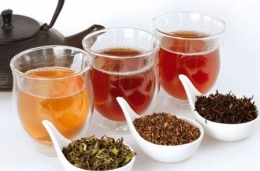 El mundo de las Infusiones y Tes