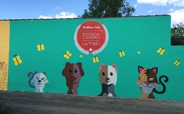 ¿Cuánto cuesta mantener a un perro?