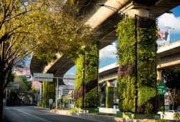 Jardines verticales en espacios públicos