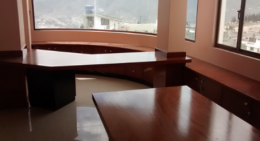 La oficina 1.0 muebles de oficina & más y la Neurología se dan la mano.