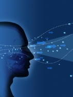 La vibración interna y el poder personal