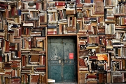 ¿Qué buscas cuando lees un libro?