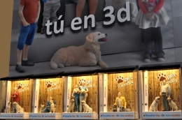 Exposición 