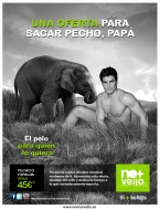 NO+VELLO ELIGE AL MEJOR PADRE DE ESPA