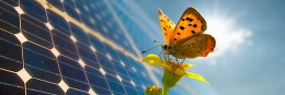 Comercializadora Eléctrica