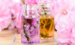 La clasificación de perfumes por familias olfativas