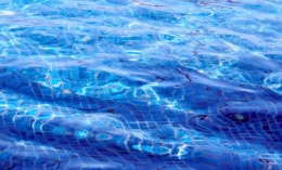 ¿Qué tipo de productos de seguridad debo comprar para proteger a los niños o mascotas cerca de la piscina, en invierno?