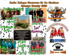 Grupo Musical De Guerrero 