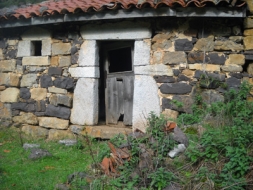 Ruta al Valle de Pigüeña en Asturias