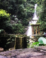 Disfruta de la magia de Xilitla