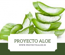 ¿Conoces el aloe vera y los productos de Exialoe?