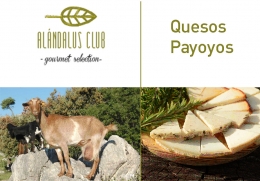 Quesos Payoyos de la Sierra de Grazalema para comprar online