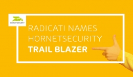 Hornetsecurity ha sido nombrado Trail Blazer del Secure Email Gateway de Radicati - Cuadrante de mercado 2021