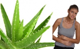 4 remedios naturales para curar una gastritis.