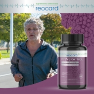 Cuidado del sistema cardiovascular para un bienestar óptimo
