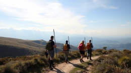 Comparativa: organizar el Camino por tu cuenta vs. viaje organizado