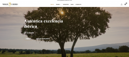La Excelencia de los Jamones Castro: Un Viaje a la Tradición Ibérica