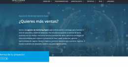 Agencia de Marketing Digital: Impulsando el Éxito con Intelligenta Studio