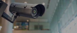 La seguridad como servicio privado
