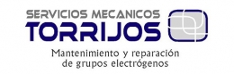 Potencia ininterrumpida: La especialización en grupos electrógenos
