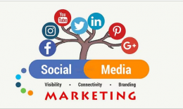 If you are looking for a social media marketing agency in Bareilly