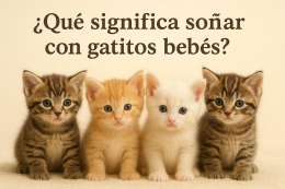 ¿Qué significa soñar con gatos bebes?