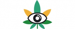 Comienzan las ferias del cannabis.