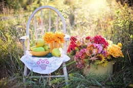 Decorando con flores y plantas nuestro hogar