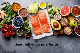 Super Alimentos Para los Perros