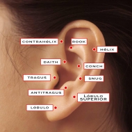 Diferentes tipos de pendientes y piercings para la oreja