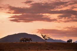 Viajes de eco-voluntariado en Sudáfrica