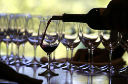 Una guía sobre los conceptos básicos del vino